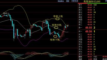 现货石油投资入门知识，现货石油投资入门知识大全