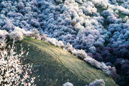 4月5月适合去哪里旅游，放假去哪里旅游好玩