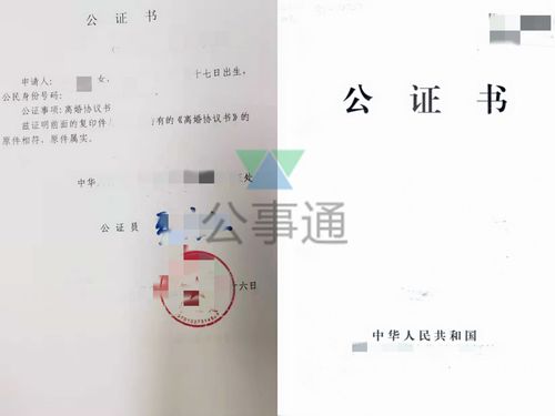 公证处公证流程，亲子公证处公证流程