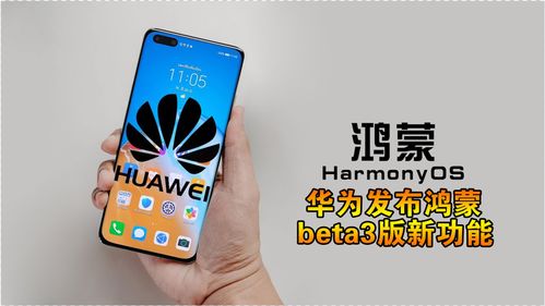 华为beta，华为beta反馈助手下载