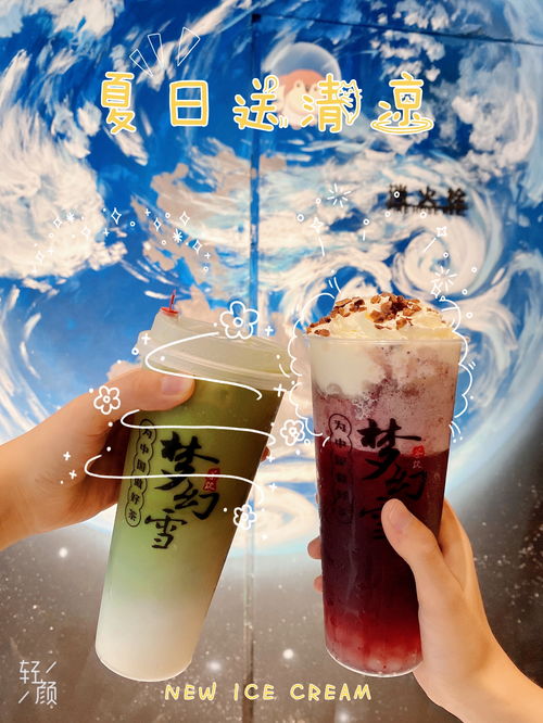 梦幻雪奶茶品牌排行榜，梦幻雪冰淇淋奶茶怎么样