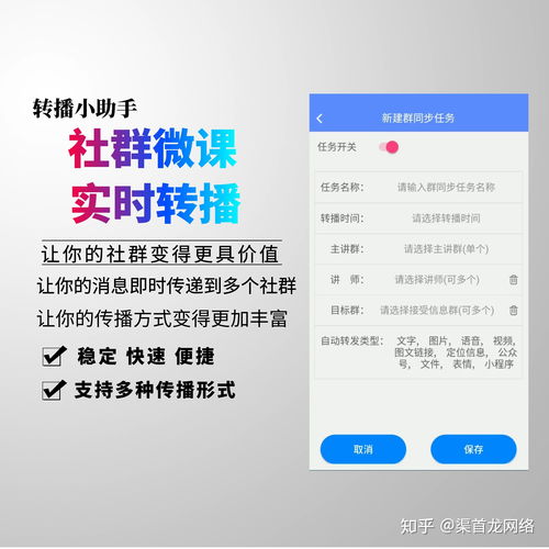 体育票务网站哪个好用，体育购票软件哪个更好