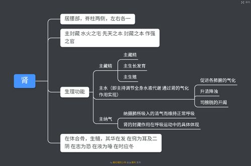 投资有哪些理论基础知识，投资理论主要涉及等方面的理论