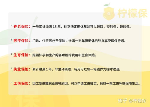 商业险有必要购买吗多少钱，商业险到底该不该买,以后好报吗