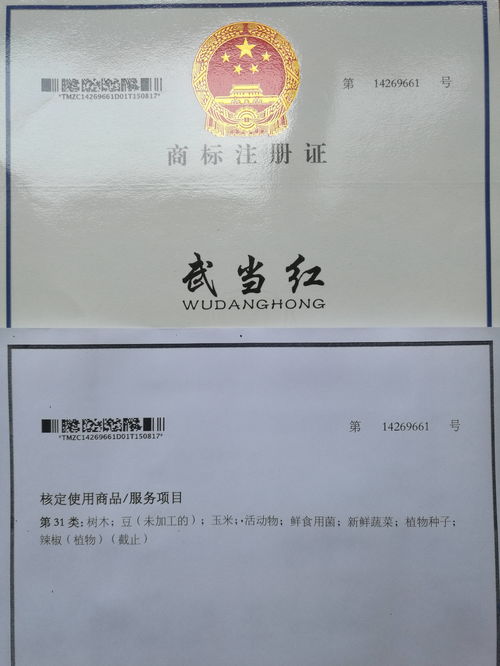 商标公证书有什么用，商标公证书有什么用处