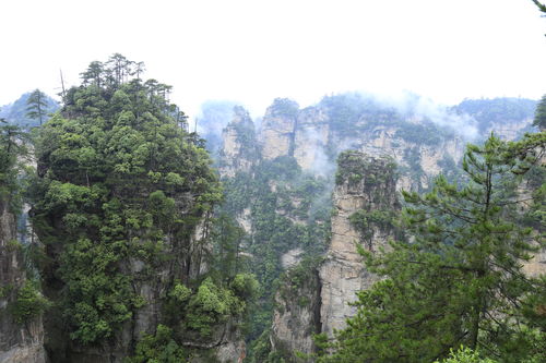 张家界旅游是跟团好还是自由行好，张家界自驾游还是跟团游比较好