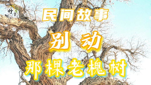 讲民间故事会日记，民间故事会200字