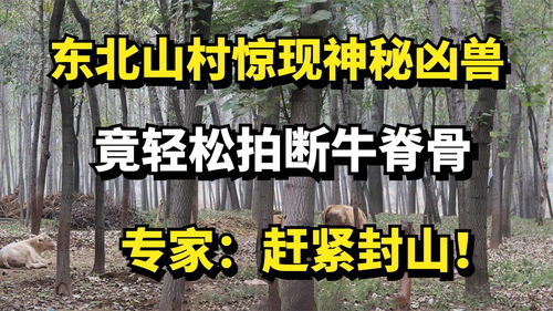 黑龙江民间故事会，黑龙江省传说故事