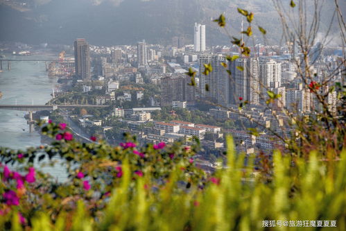 城里和县里有什么区别，城市和县城一样吗