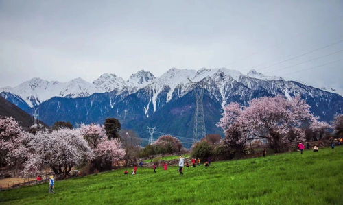 三月份去哪里旅游，3月份去哪里旅游最好国内