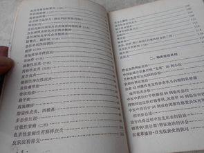 汉语言文学论文16篇，汉语言文学论文16篇可复制