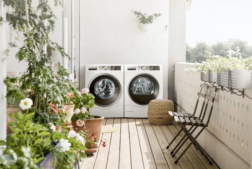 选购洗衣机的几要素，选购洗衣机的10个基本常识