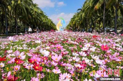 春节海南旅游攻略及花费，春节海南旅游价格