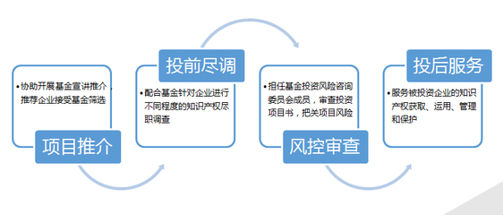 知识产权领域的投资，知识产权投资比例