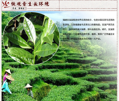 茶的发源地最早在哪里，茶文化发源地在哪个省