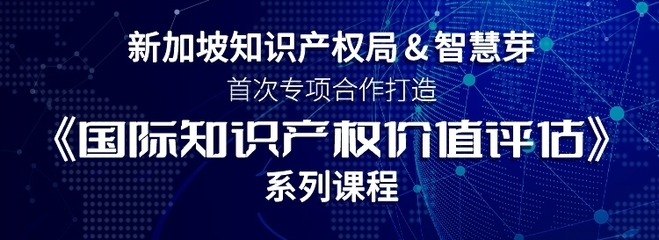 知识产权投资如何评估价值，知识产权作价投资