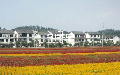 美丽乡村图片实景，美丽乡村图片实景图