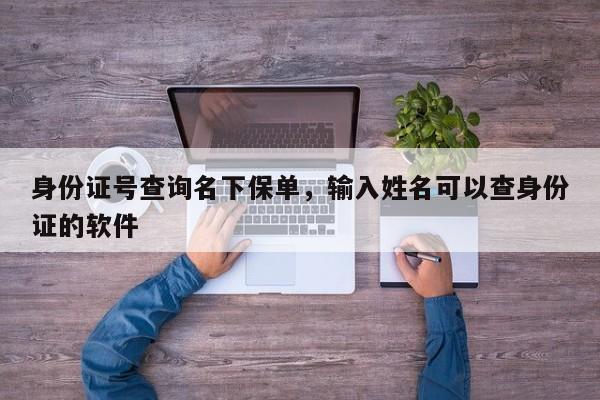 身份证号查询名下保单，输入姓名可以查身份证的软件