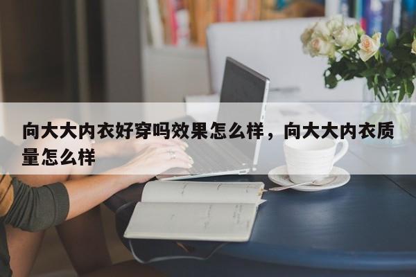 向大大内衣好穿吗效果怎么样，向大大内衣质量怎么样