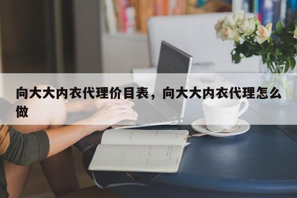 向大大内衣代理价目表，向大大内衣代理怎么做