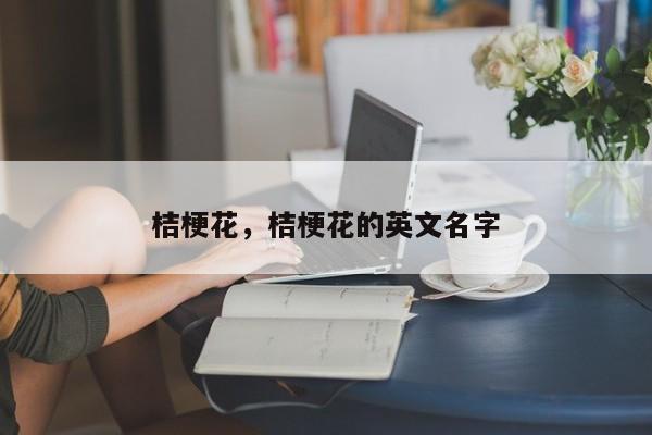 桔梗花，桔梗花的英文名字