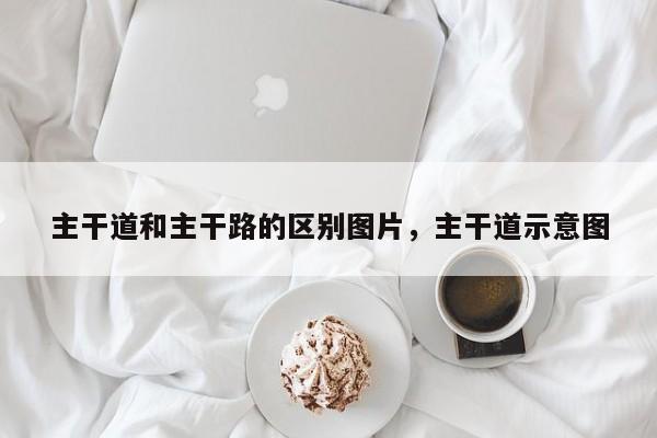 主干道和主干路的区别图片，主干道示意图