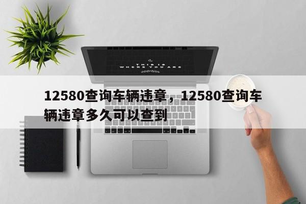 12580查询车辆违章，12580查询车辆违章多久可以查到