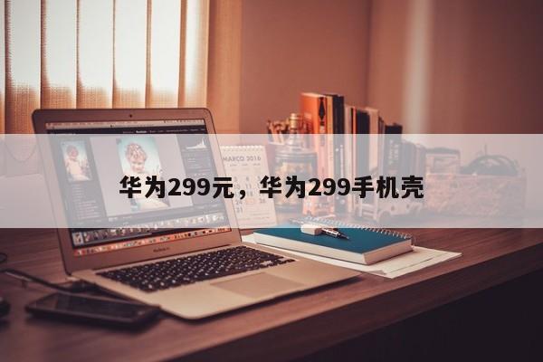 华为299元，华为299手机壳