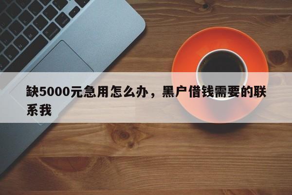 缺5000元急用怎么办，黑户借钱需要的联系我