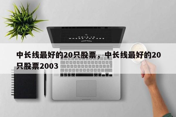 中长线最好的20只股票，中长线最好的20只股票2003