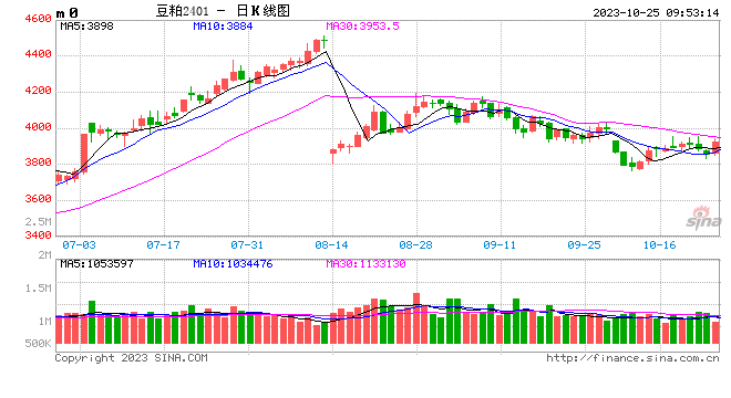 光大期货软商品类日报10.25