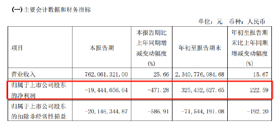 武汉控股深陷“泥沼”：净利润大幅下滑 信披违规公司及高管被责令改正