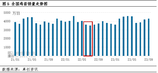 淘汰蛋鸡：供需两淡局面仍将持续，2023年价格或以高位收尾