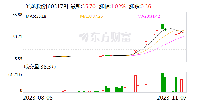 “龙字辈”霸榜涨停板：天龙股份10连板 天龙集团7天3次20CM 谁在炒？