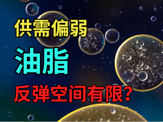 供需偏弱，油脂反弹空间有限？