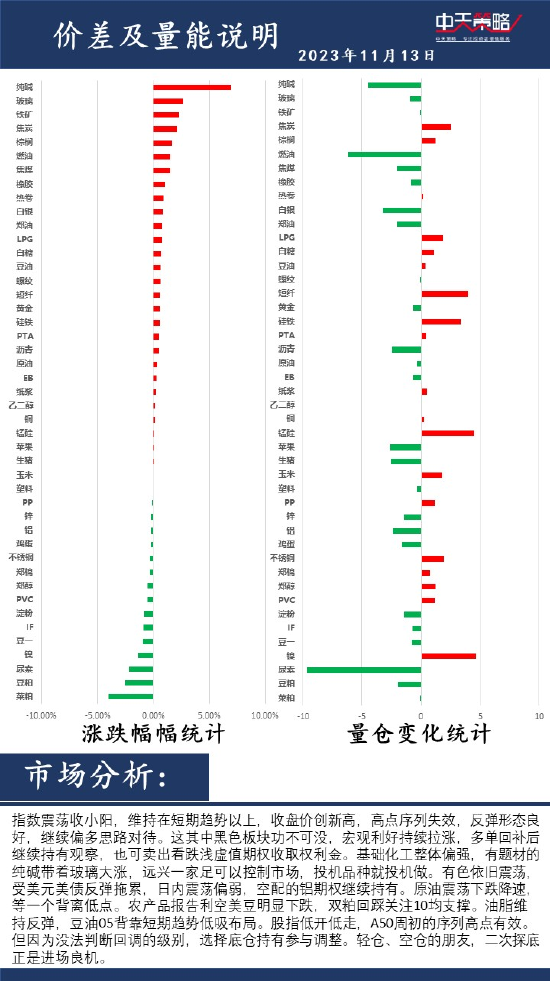 中天策略:11月13日市场分析