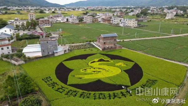 驻东石镇帮镇扶村工作队：抓实产业发展 提升民生福祉