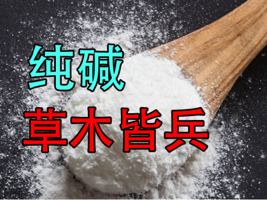 纯碱：草木皆兵