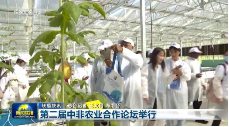 远洋集团亮相第二届中非农业合作论坛 中外嘉宾考察国家级田园综合体