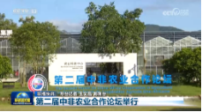 远洋集团亮相第二届中非农业合作论坛 中外嘉宾考察国家级田园综合体