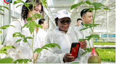 远洋集团亮相第二届中非农业合作论坛 中外嘉宾考察国家级田园综合体