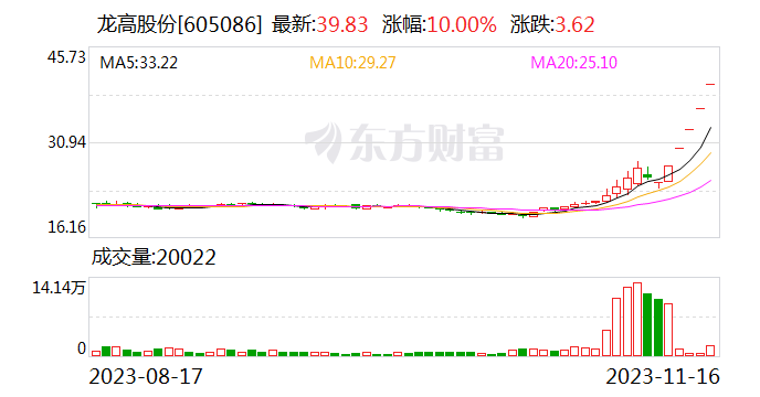 5连板龙高股份：外部流通股占比相对较小 可能存在非理性炒作风险