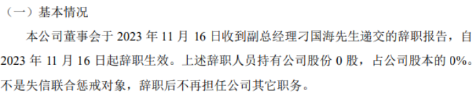 极光创新副总经理刁国海辞职2023年上半年公司亏损360.1万