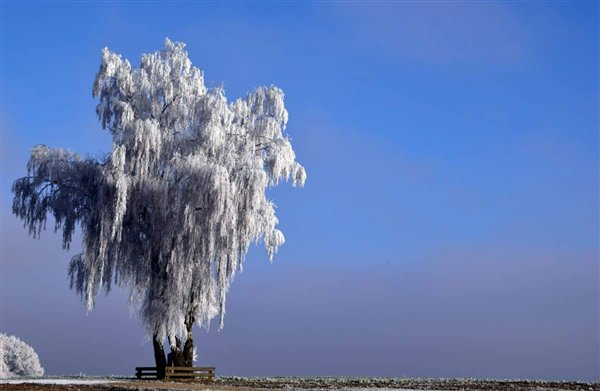 局地降温超过16度 这里不足-24度！寒潮冷空气又又又来了