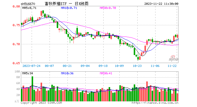 产能加速去化！畜牧养殖ETF(516670)近期涨近9%，新五丰、巨星农牧金新农、生物股份纷纷活跃