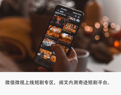 怎么免费看抖音夜宵短剧