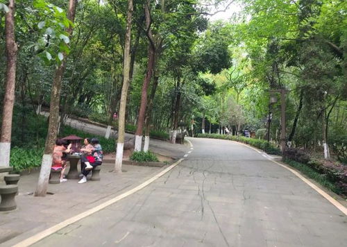 抖音短剧脱缰免费看_脱缰讲的是什么