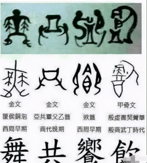 虎成语大全四字成语_兔成语大全四个字