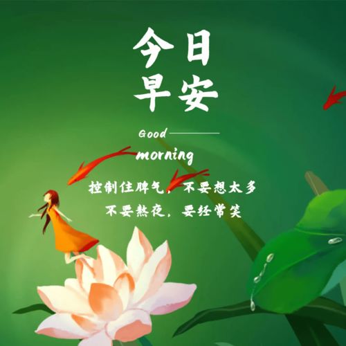 顶级淡雅早安图片_顶级淡雅早安图片2024