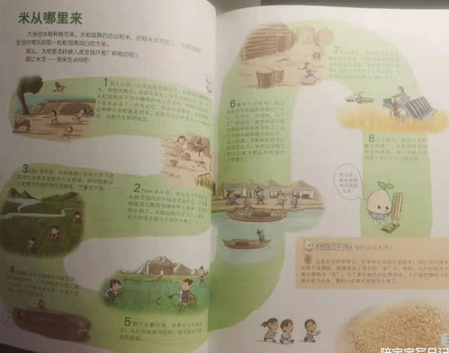 生活小常识的画（生活小常识画报）